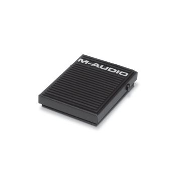  SP-1 Sustain Pedal